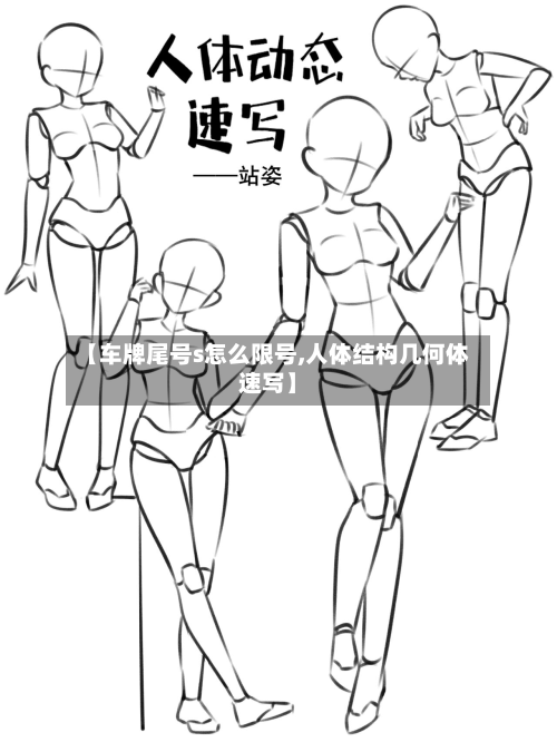 【车牌尾号s怎么限号,人体结构几何体速写】
