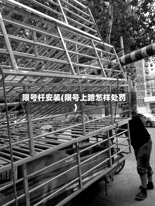 限号杆安装(限号上路怎样处罚)
