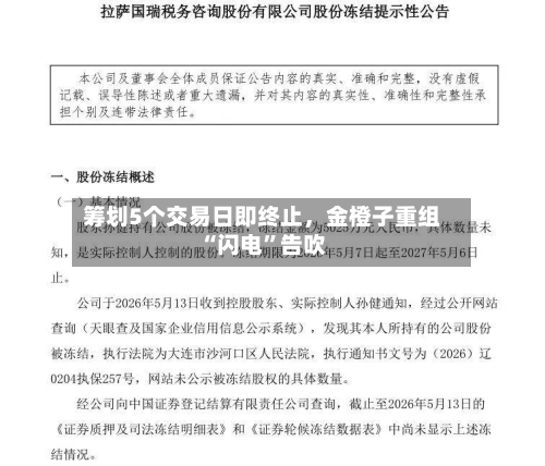 筹划5个交易日即终止，金橙子重组“闪电	”告吹-第2张图片