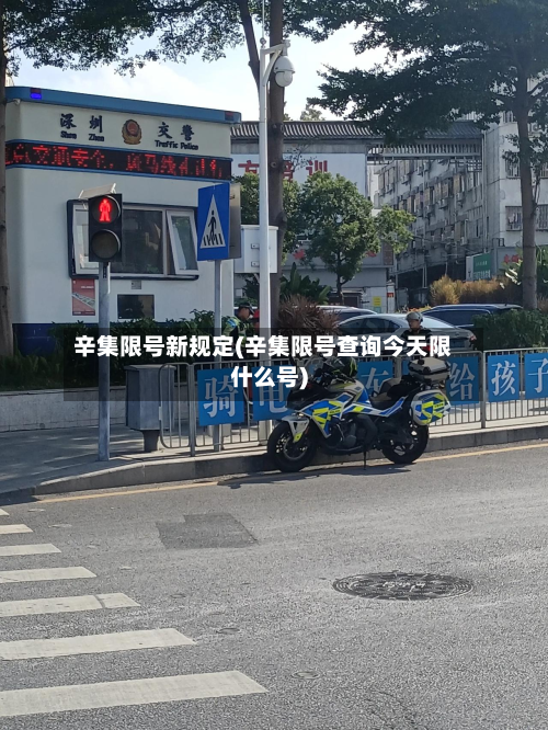 辛集限号新规定(辛集限号查询今天限什么号)