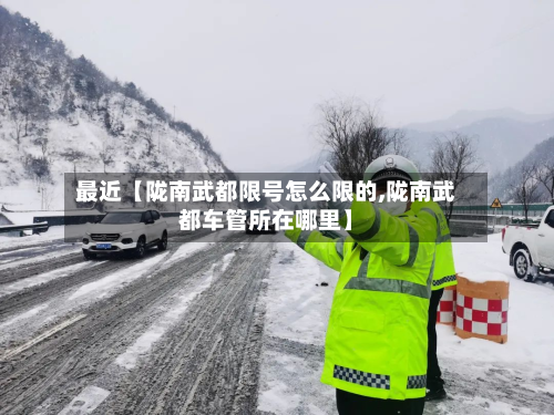 最近【陇南武都限号怎么限的,陇南武都车管所在哪里】