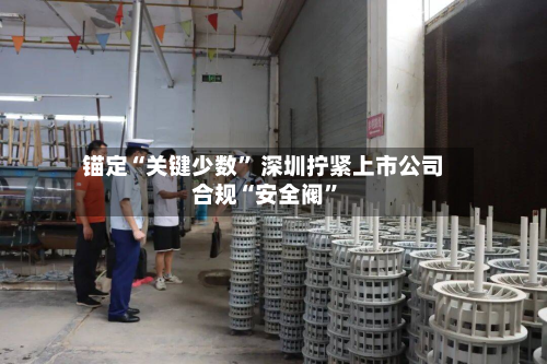 锚定“关键少数” 深圳拧紧上市公司合规“安全阀	”-第3张图片
