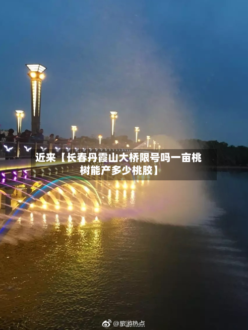近来【长春丹霞山大桥限号吗一亩桃树能产多少桃胶】