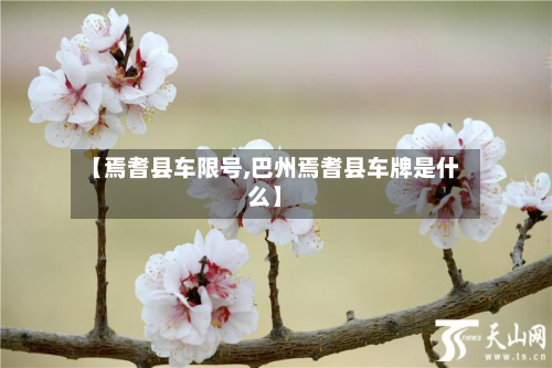 【焉耆县车限号,巴州焉耆县车牌是什么】