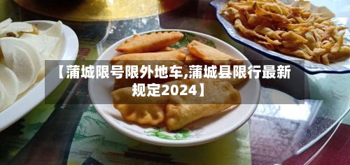 【蒲城限号限外地车,蒲城县限行最新规定2024】-第2张图片