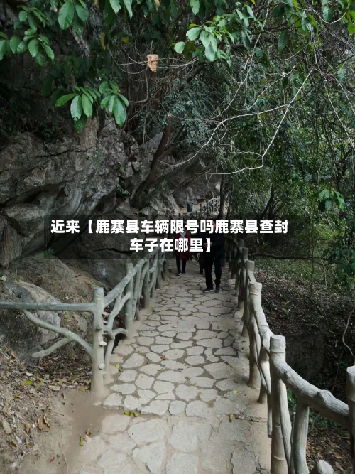 近来【鹿寨县车辆限号吗鹿寨县查封车子在哪里】