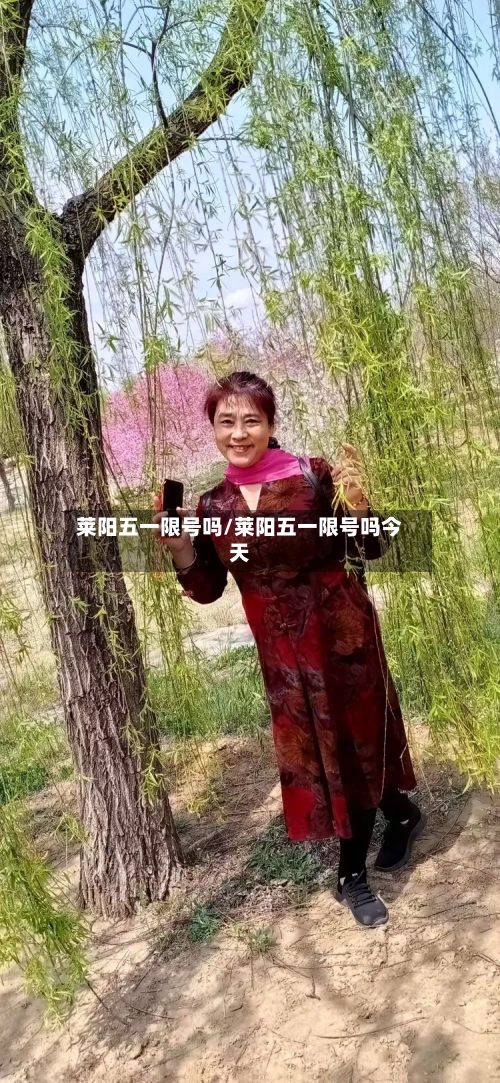 莱阳五一限号吗/莱阳五一限号吗今天-第2张图片