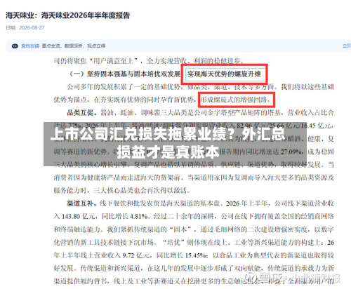 上市公司汇兑损失拖累业绩?外汇总损益才是真账本