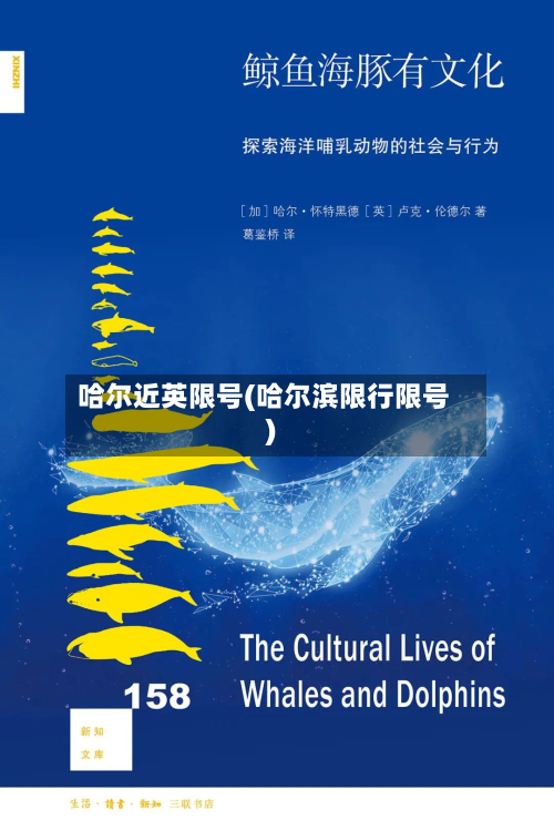 哈尔近英限号(哈尔滨限行限号)