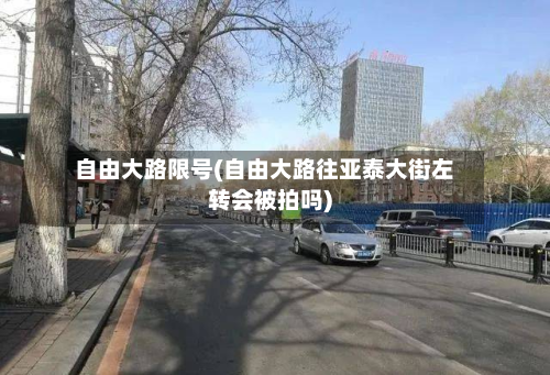 自由大路限号(自由大路往亚泰大街左转会被拍吗)