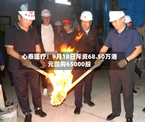 心泰医疗：9月18日斥资68.50万港元回购65000股