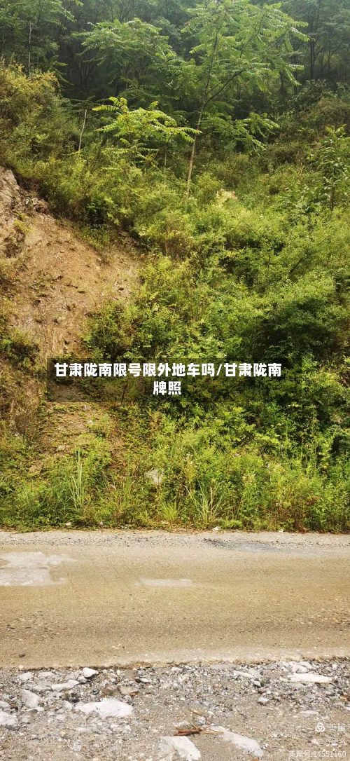 甘肃陇南限号限外地车吗/甘肃陇南牌照