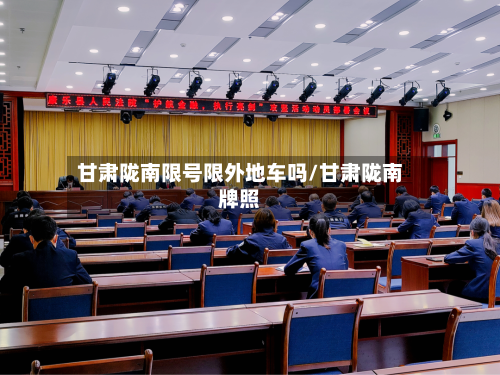 甘肃陇南限号限外地车吗/甘肃陇南牌照-第2张图片