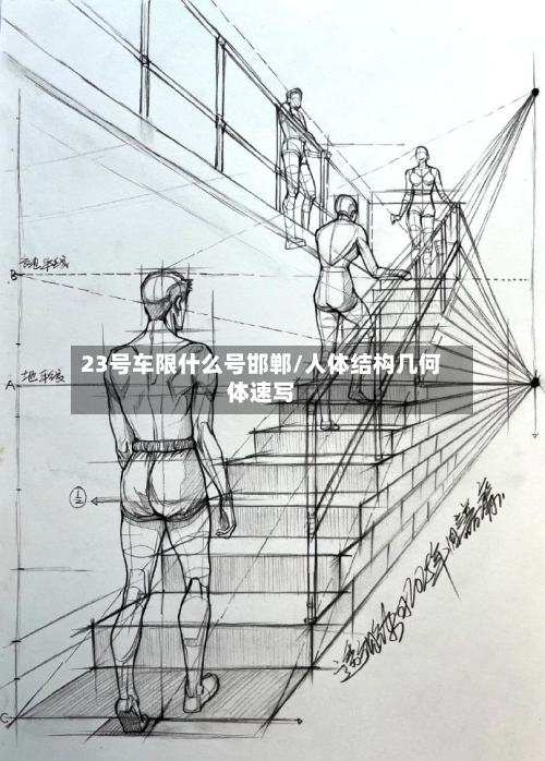 23号车限什么号邯郸/人体结构几何体速写-第3张图片
