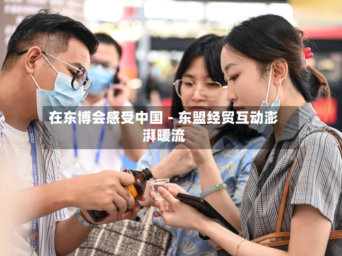在东博会感受中国－东盟经贸互动澎湃暖流-第2张图片
