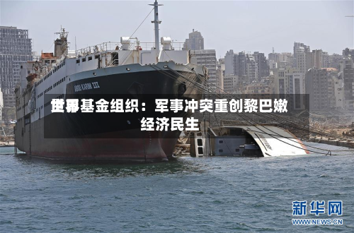 世界货币基金组织：军事冲突重创黎巴嫩经济民生-第2张图片