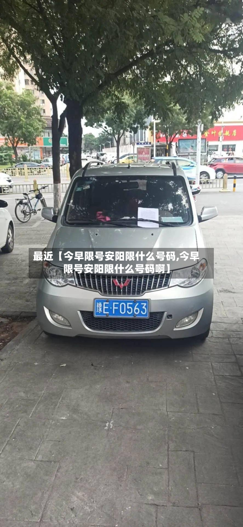 最近【今早限号安阳限什么号码,今早限号安阳限什么号码啊】-第2张图片