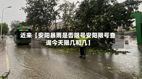 近来【安阳暴雨是否限号安阳限号查询今天限几和几】-第2张图片