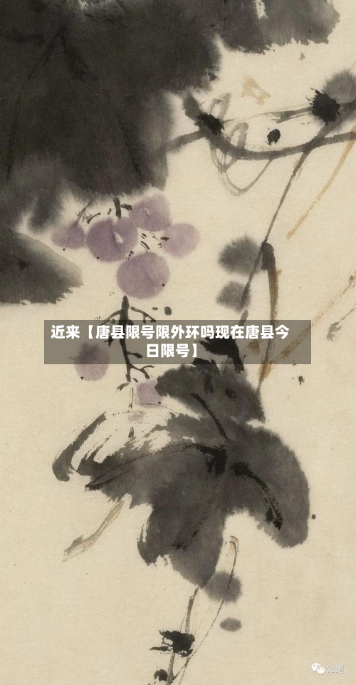 近来【唐县限号限外环吗现在唐县今日限号】-第3张图片