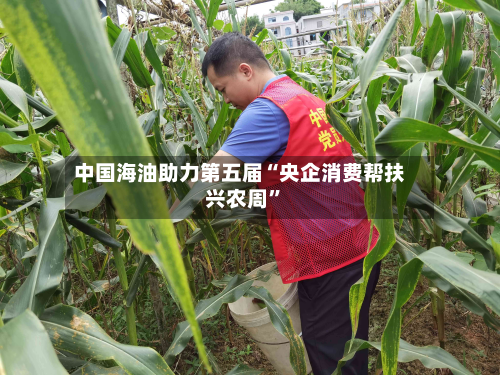 中国海油助力第五届“央企消费帮扶兴农周”-第2张图片