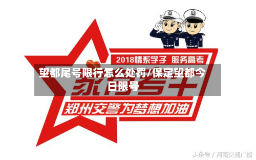 望都尾号限行怎么处罚/保定望都今日限号-第3张图片