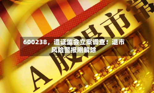 600238	，遭证监会立案调查！退市风险警报刚解除-第2张图片