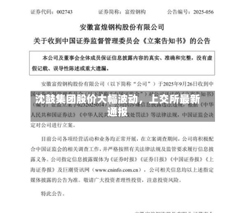 沈鼓集团股价大幅波动，上交所最新通报-第1张图片