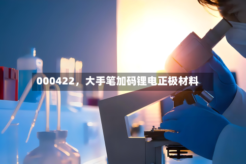 000422，大手笔加码锂电正极材料-第3张图片