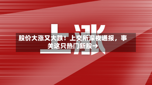 股价大涨又大跌！上交所深夜通报，事关这只热门新股→-第3张图片