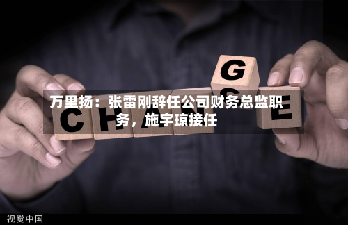万里扬：张雷刚辞任公司财务总监职务	，施宇琼接任-第2张图片
