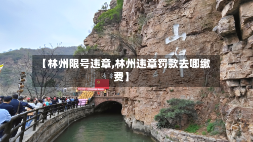 【林州限号违章,林州违章罚款去哪缴费】