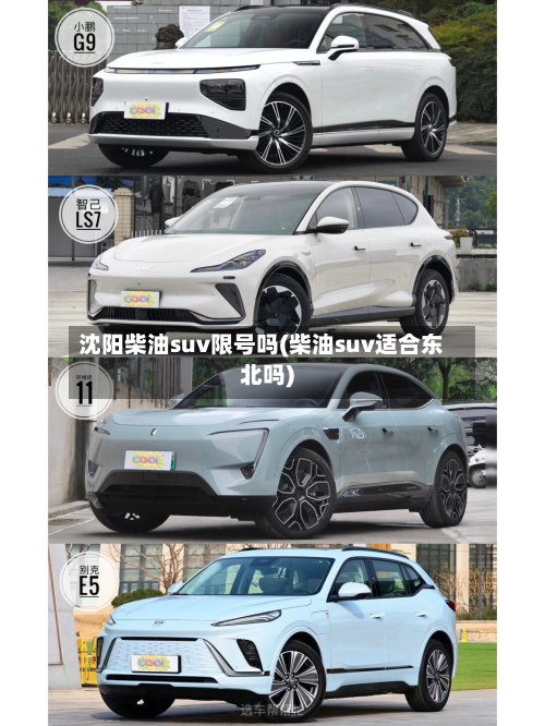 沈阳柴油suv限号吗(柴油suv适合东北吗)-第2张图片