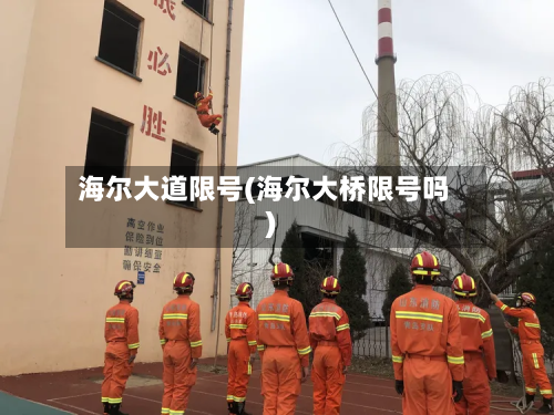海尔大道限号(海尔大桥限号吗)