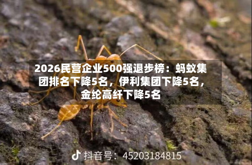 2026民营企业500强退步榜：蚂蚁集团排名下降5名，伊利集团下降5名，金纶高纤下降5名