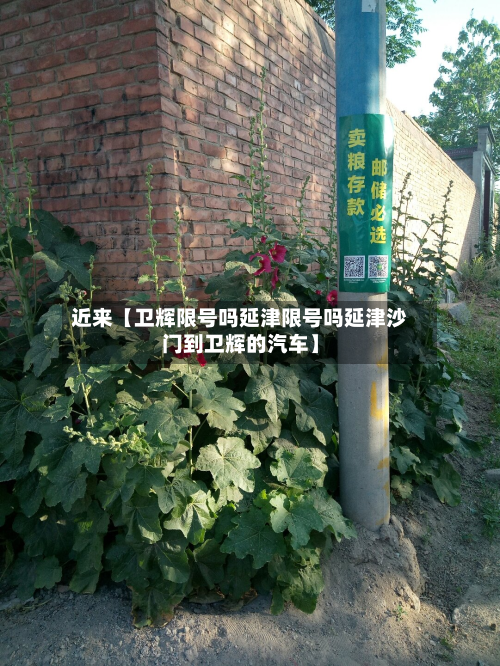 近来【卫辉限号吗延津限号吗延津沙门到卫辉的汽车】
