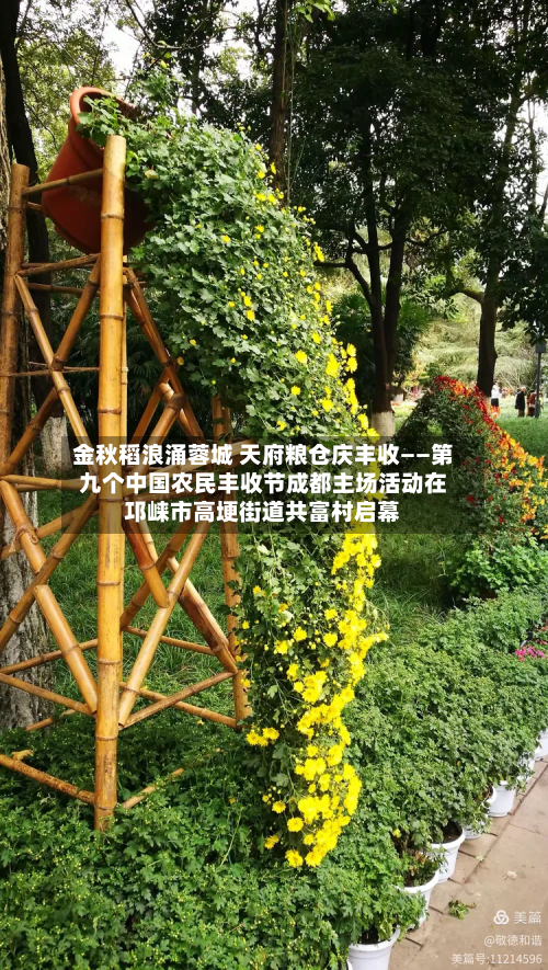 金秋稻浪涌蓉城 天府粮仓庆丰收——第九个中国农民丰收节成都主场活动在邛崃市高埂街道共富村启幕-第2张图片