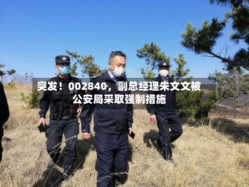 突发！002840，副总经理朱文文被公安局采取强制措施-第3张图片