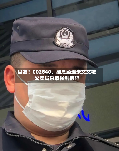 突发！002840	，副总经理朱文文被公安局采取强制措施-第2张图片