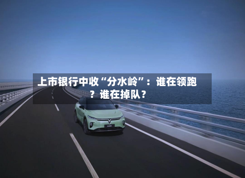 上市银行中收“分水岭”：谁在领跑？谁在掉队？