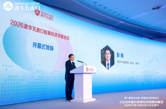 清华大学彭刚：推动人民币国际化	、积极参与全球金融治理改革	，是加快建设金融强国应有之义