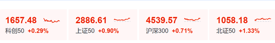 “小作文	”，引发的大涨！